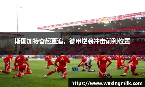 博鱼官方网站