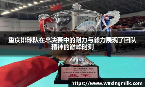 重庆排球队在总决赛中的耐力与毅力展现了团队精神的巅峰时刻