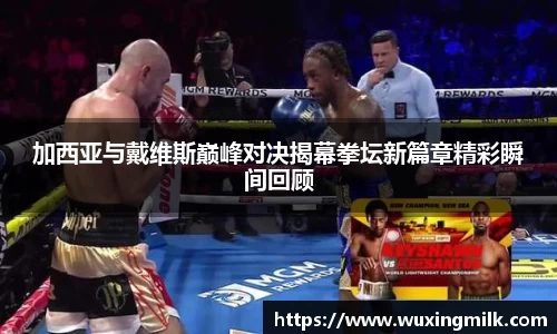 加西亚与戴维斯巅峰对决揭幕拳坛新篇章精彩瞬间回顾