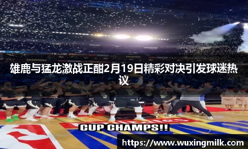 雄鹿与猛龙激战正酣2月19日精彩对决引发球迷热议